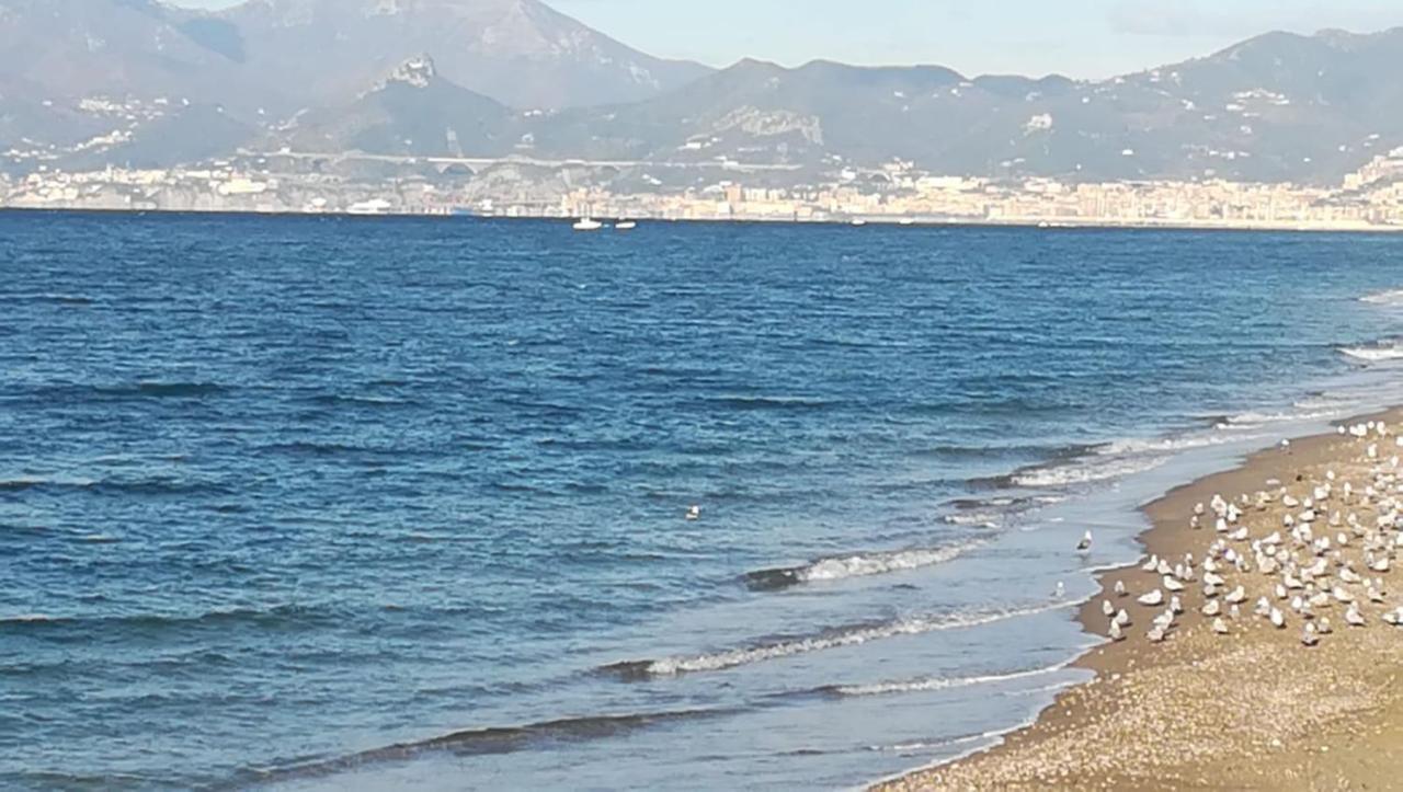 Hotel Calypso Pontecagnano Εξωτερικό φωτογραφία